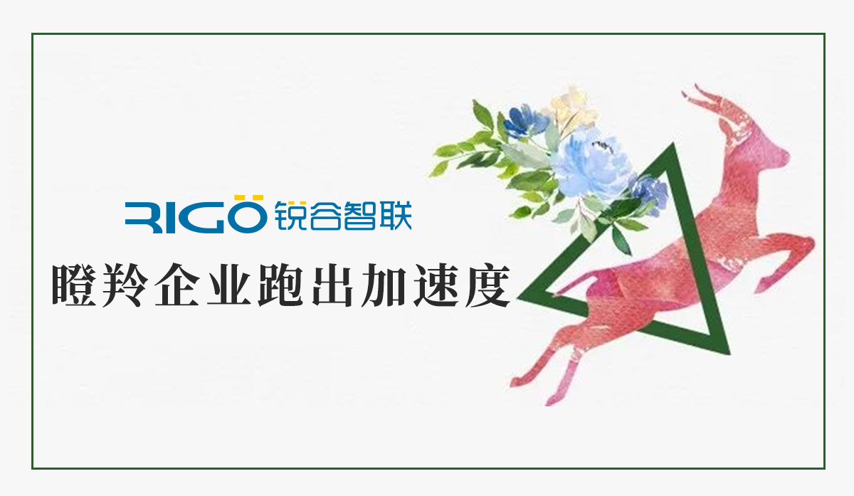 火炬高新區(qū)助力“瞪羚”企業(yè)跑出加速度，超半數(shù)分布廈門軟件園
